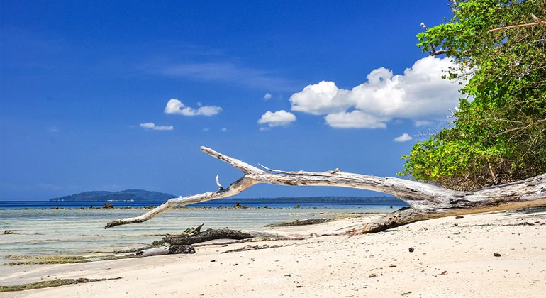 Havelock Island 